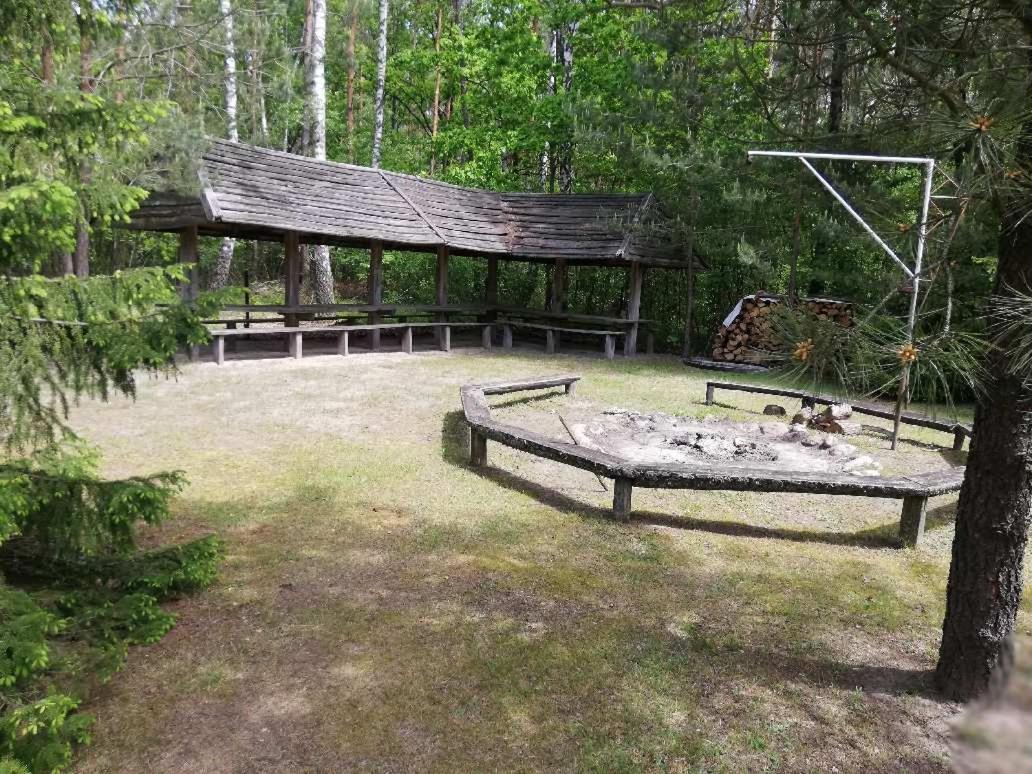 Agroturystyka "Lesne Zacisze Na Podlasiu" Tuczna エクステリア 写真