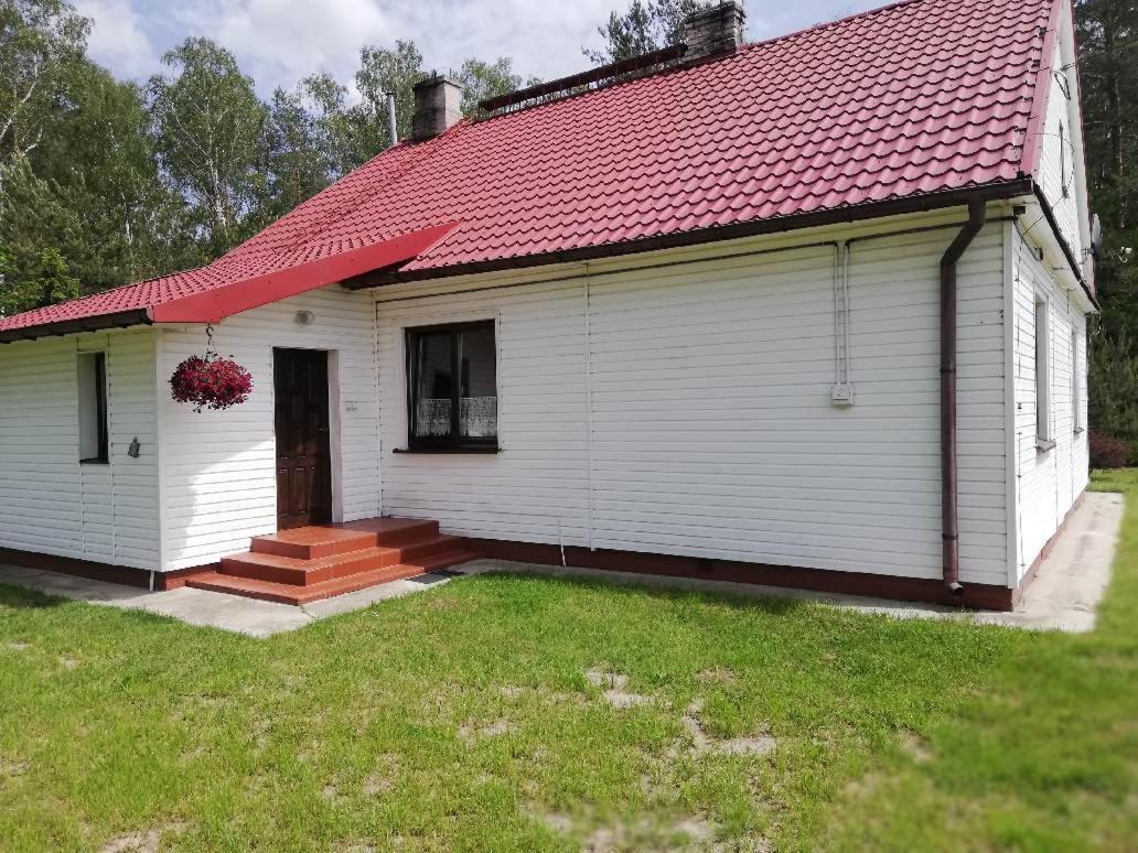 Agroturystyka "Lesne Zacisze Na Podlasiu" Tuczna エクステリア 写真